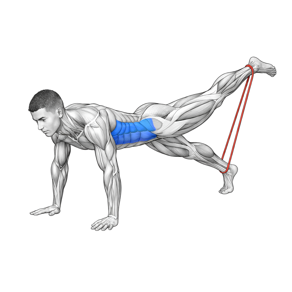 Mini Loop Band Plank with Straight Leg Kickback