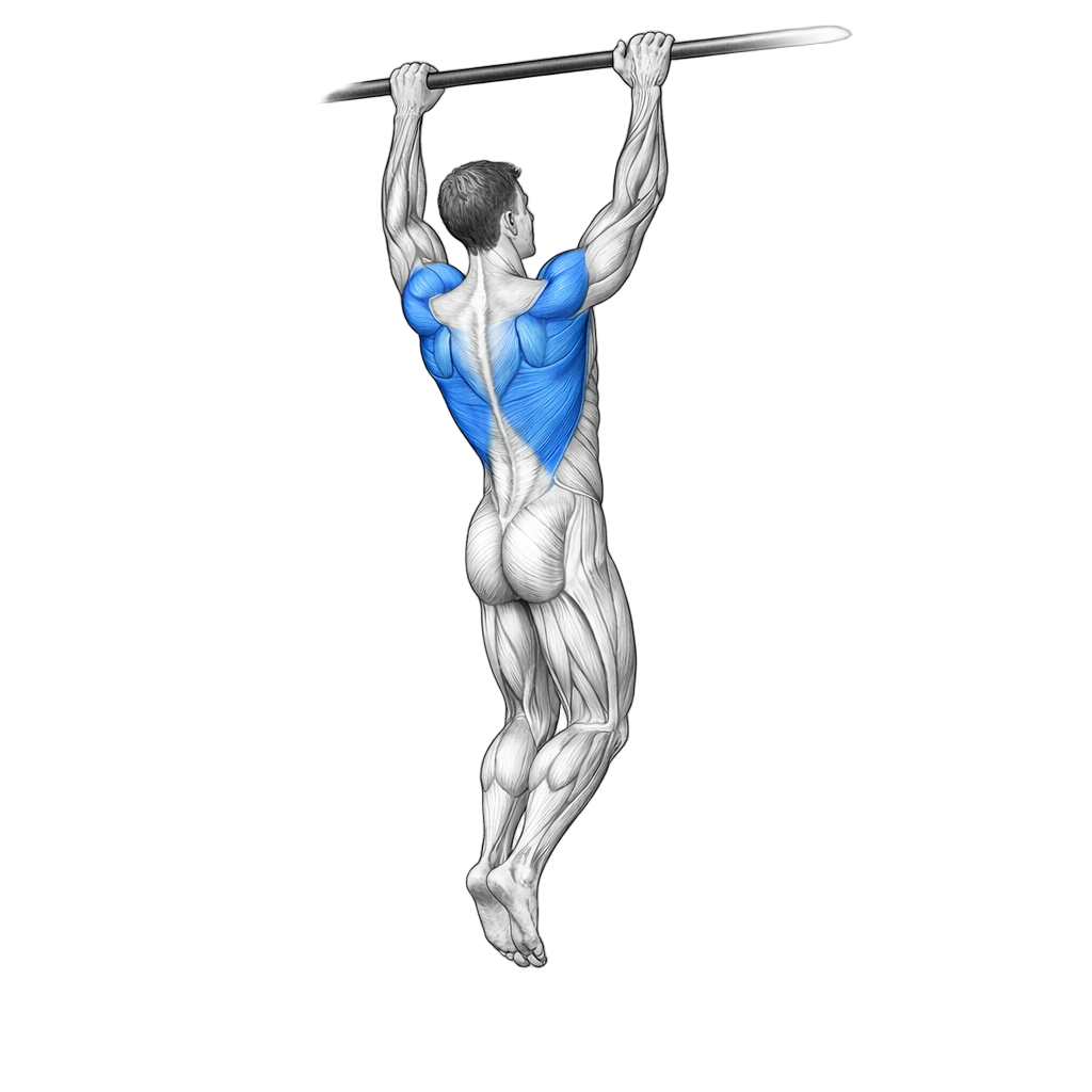 Mixed Grip Pull Up