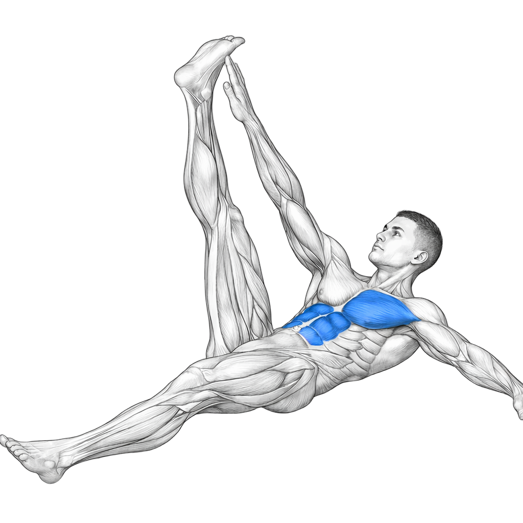 Opposite Leg Toe Touch