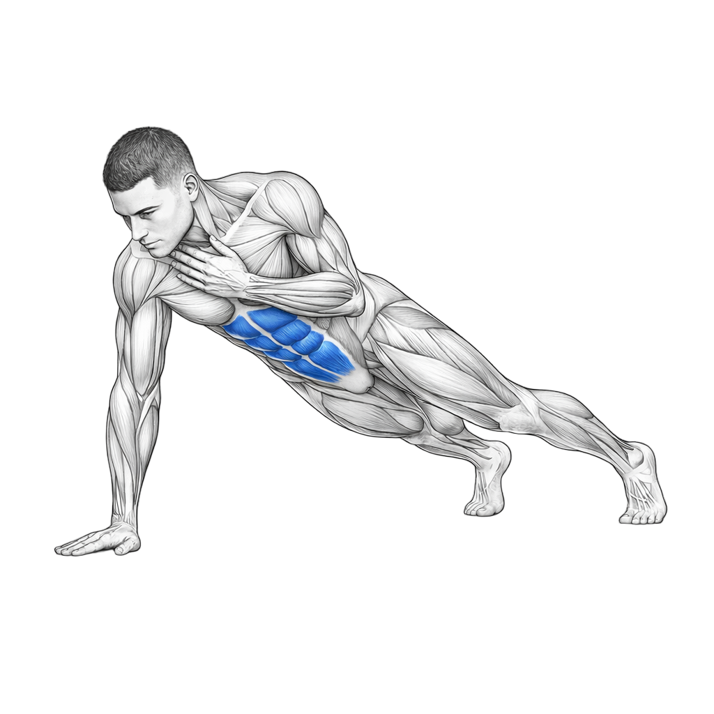 Plank Shoulder Taps