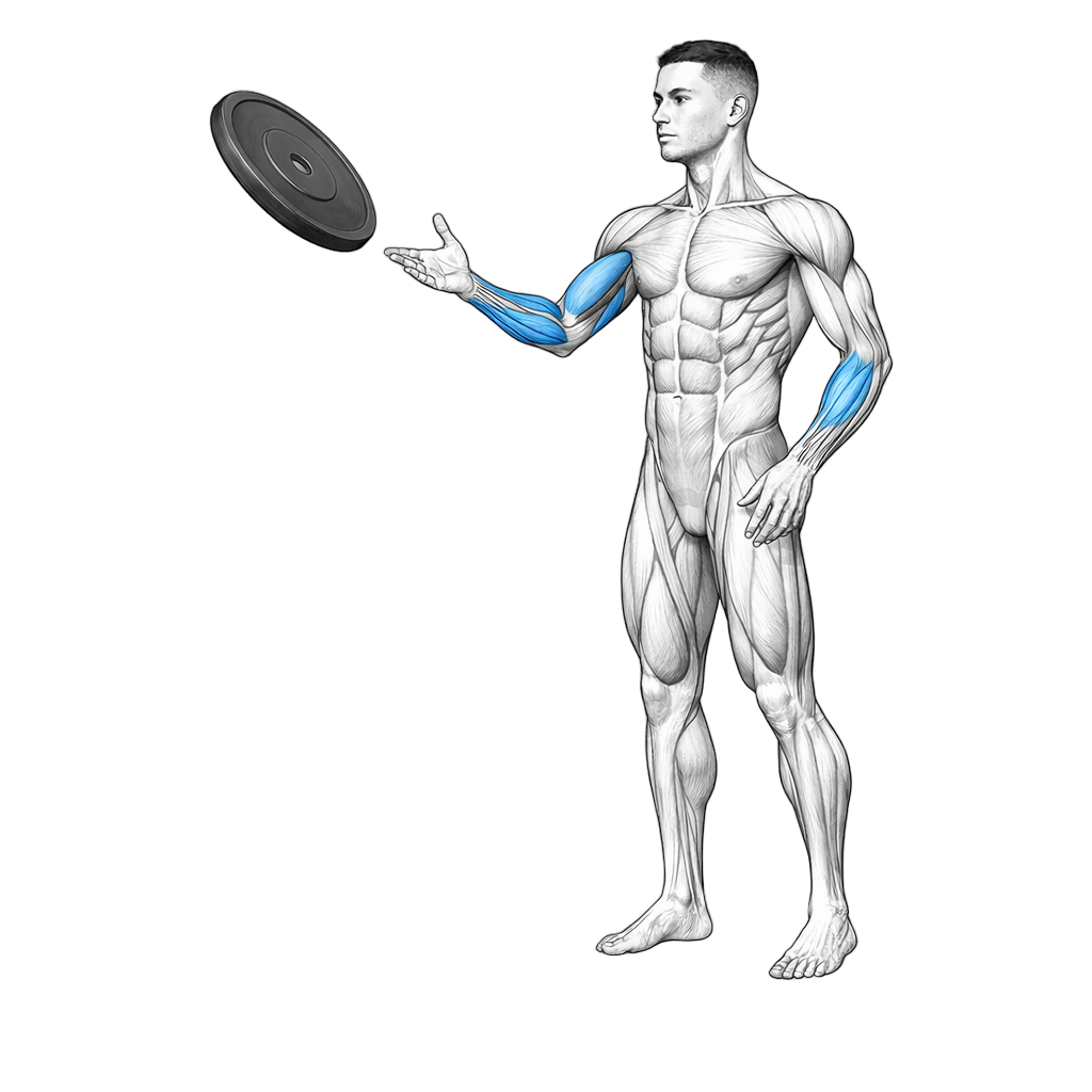 Plate Flips exercise demonstration