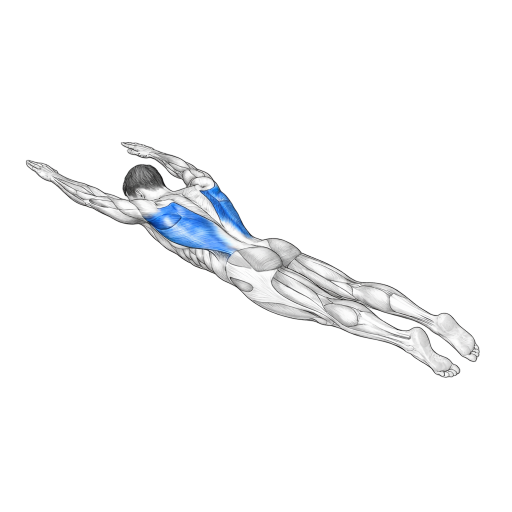 Prone I's