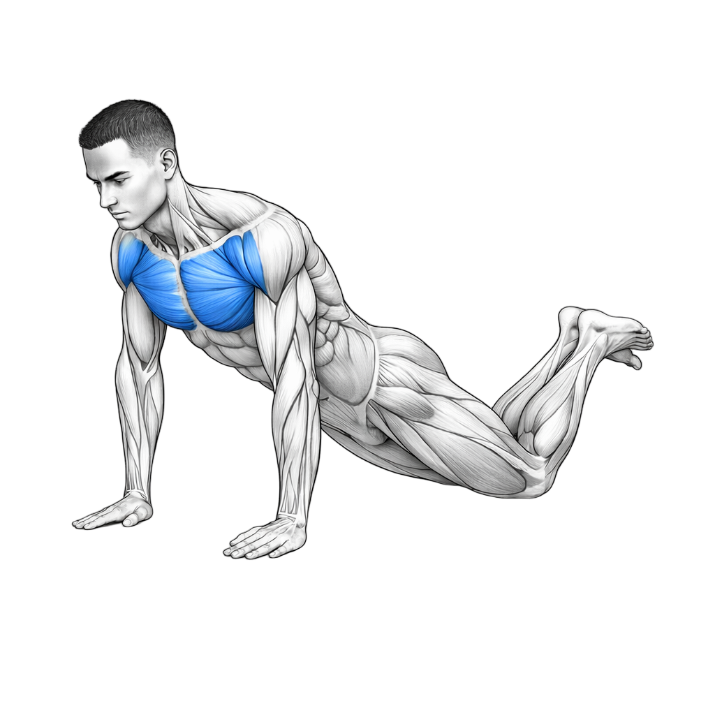 Push Up on Knees