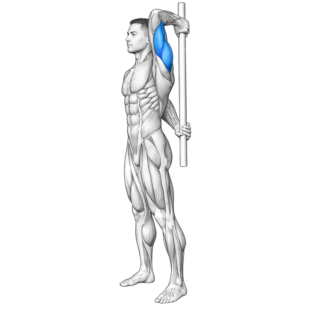 PVC Tricep Stretch