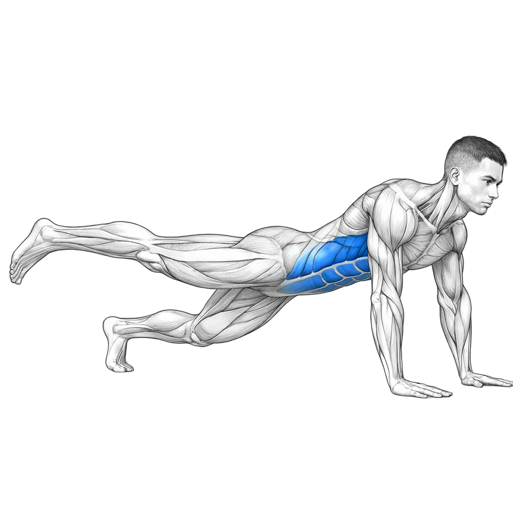 Quadruped Plank With Leg Extensions