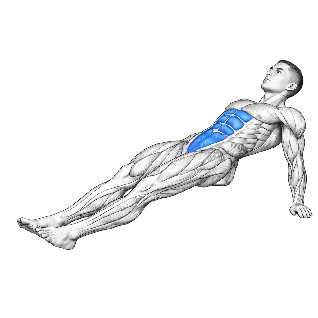 Reverse Plank on Elbows