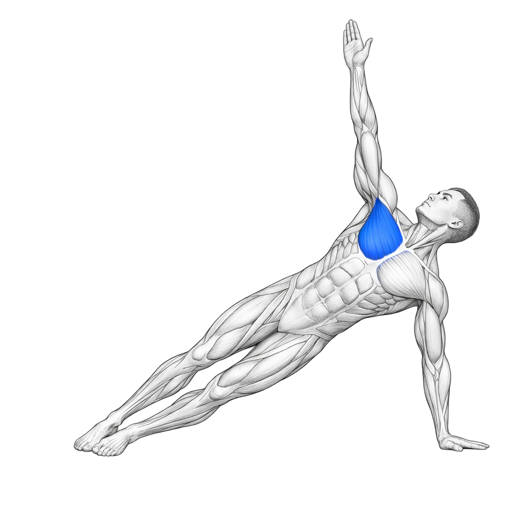 Rotation Push Up