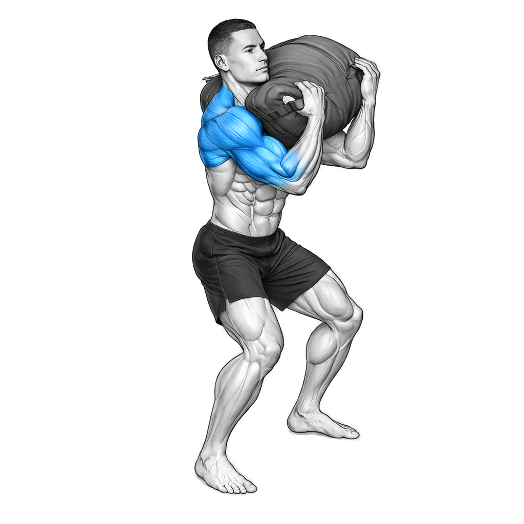 Sandbag Load exercise demonstration
