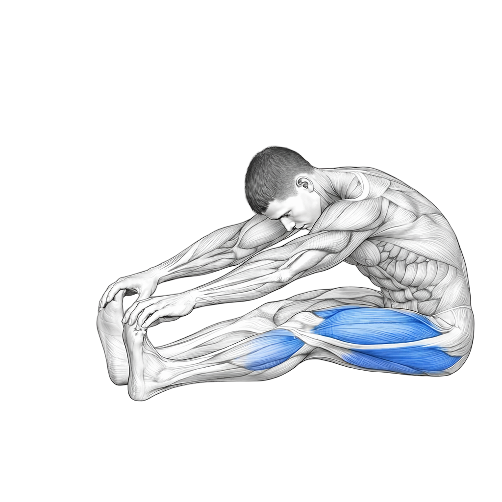 Seated Forward Bend
