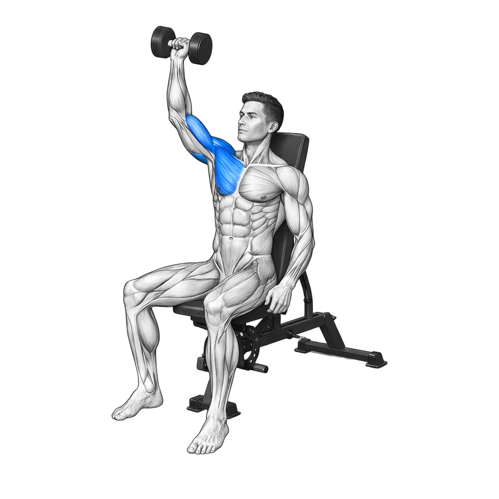 Seated Single-Arm Dumbbell Front Press