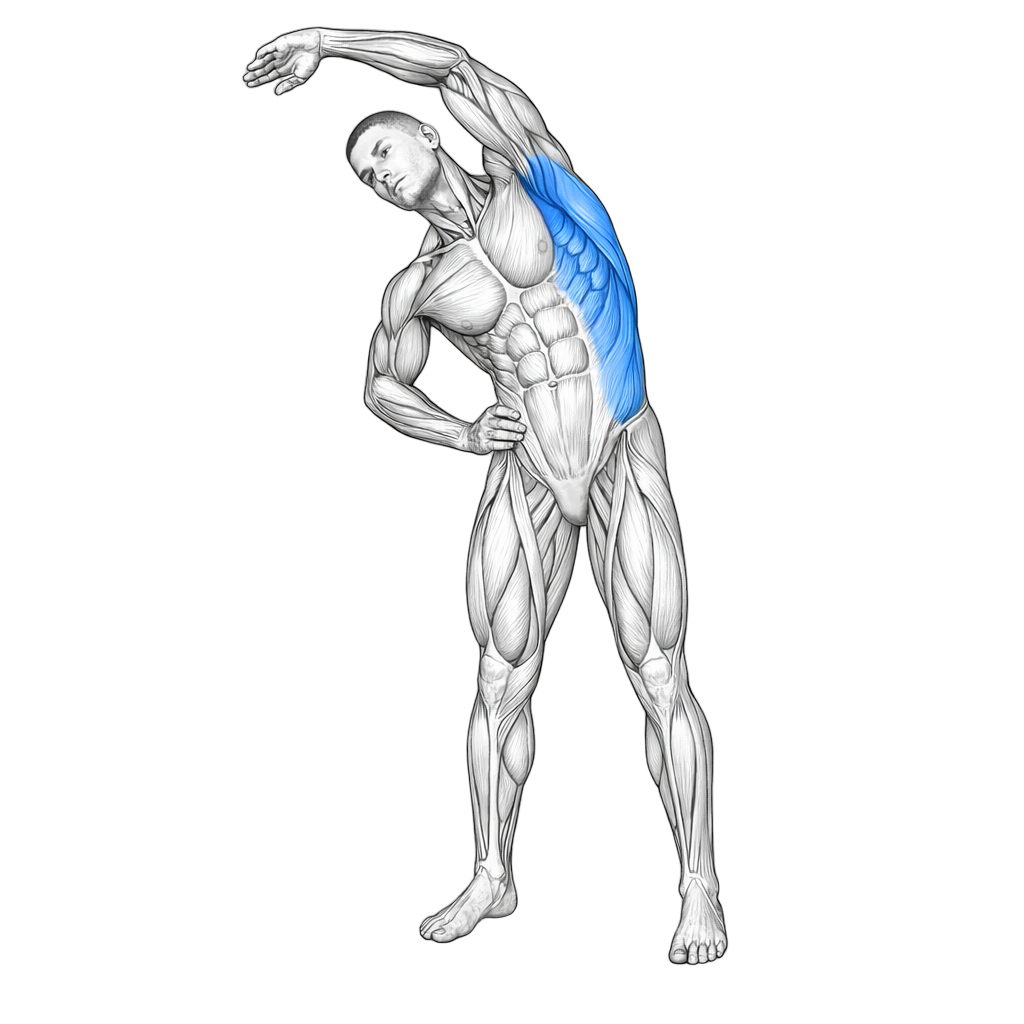 Side Bend Stretch exercise demonstration
