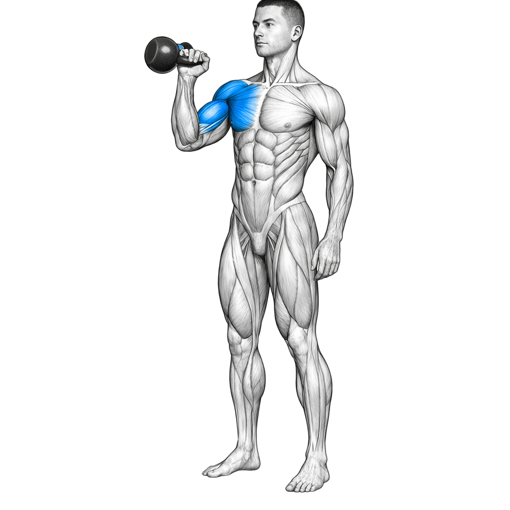 Single-Arm Bottoms-up Kettlebell Clean