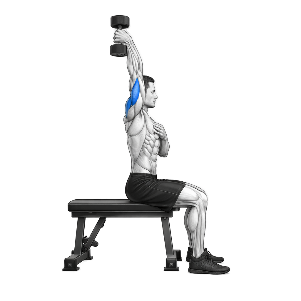 Single-Arm Dumbbell Tricep Extension