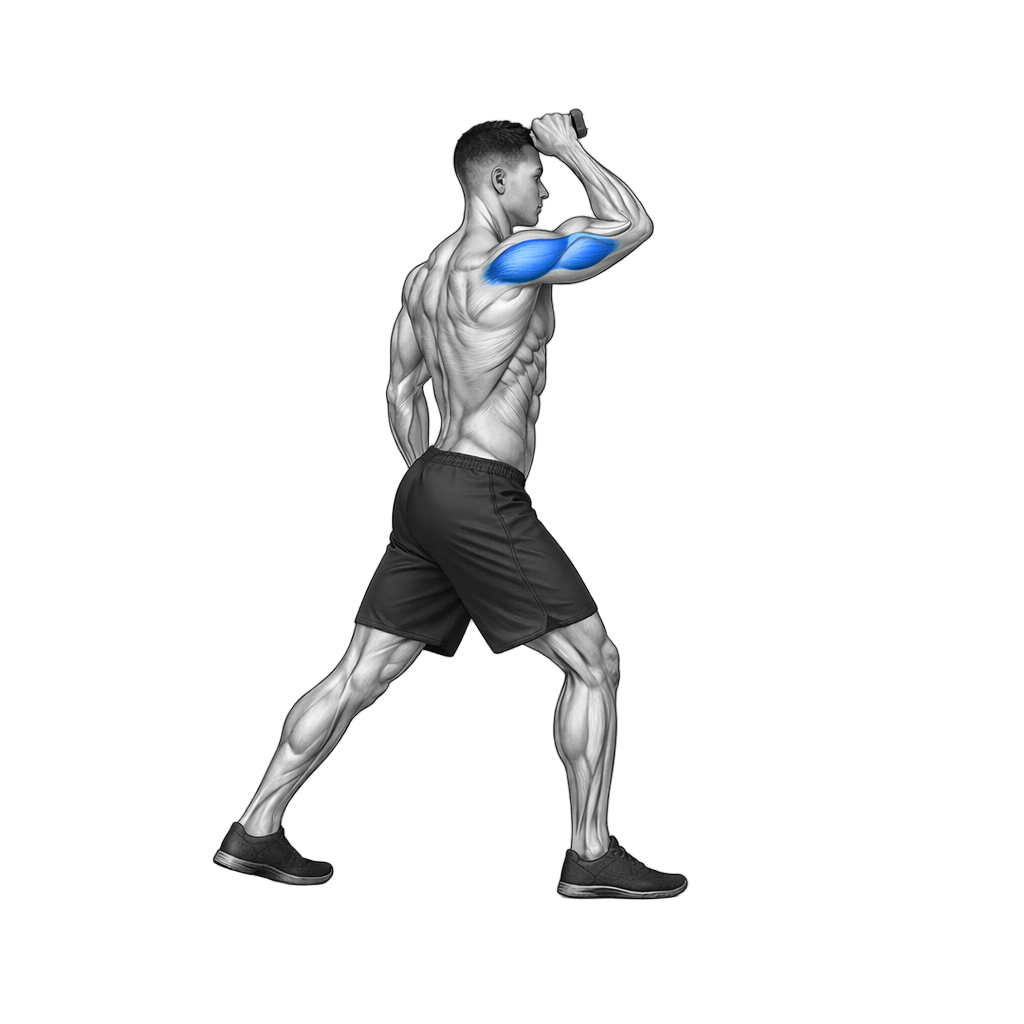 Single-Arm High Cable Tricep Extension