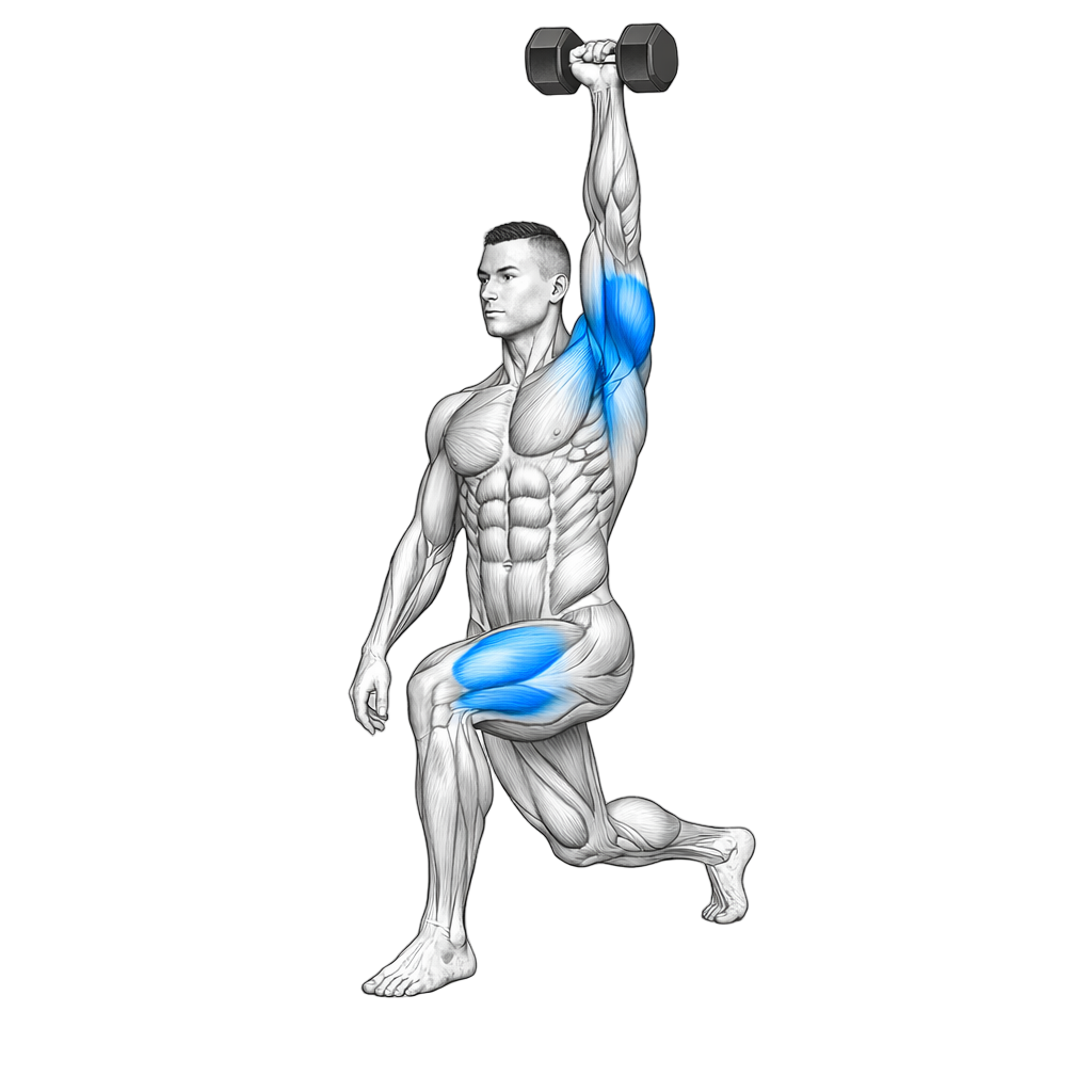 Single-Arm Overhead Dumbbell Lunge