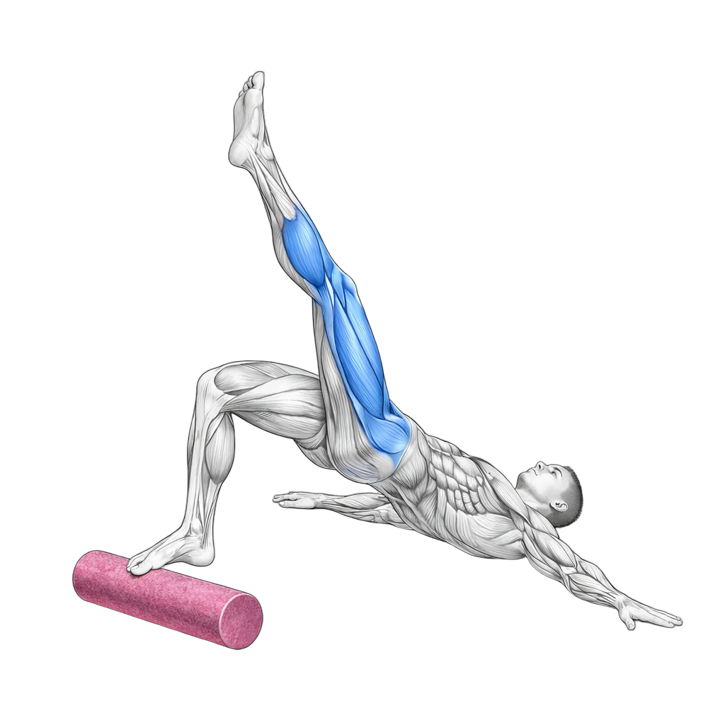 Single Leg Foam Roll Hip Thrust