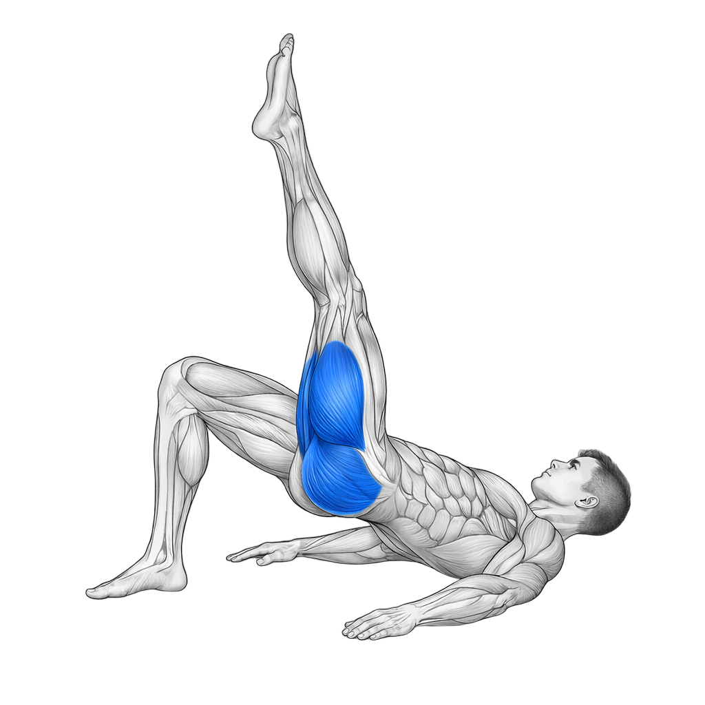 Single Leg Glute Bridge and Squeeze