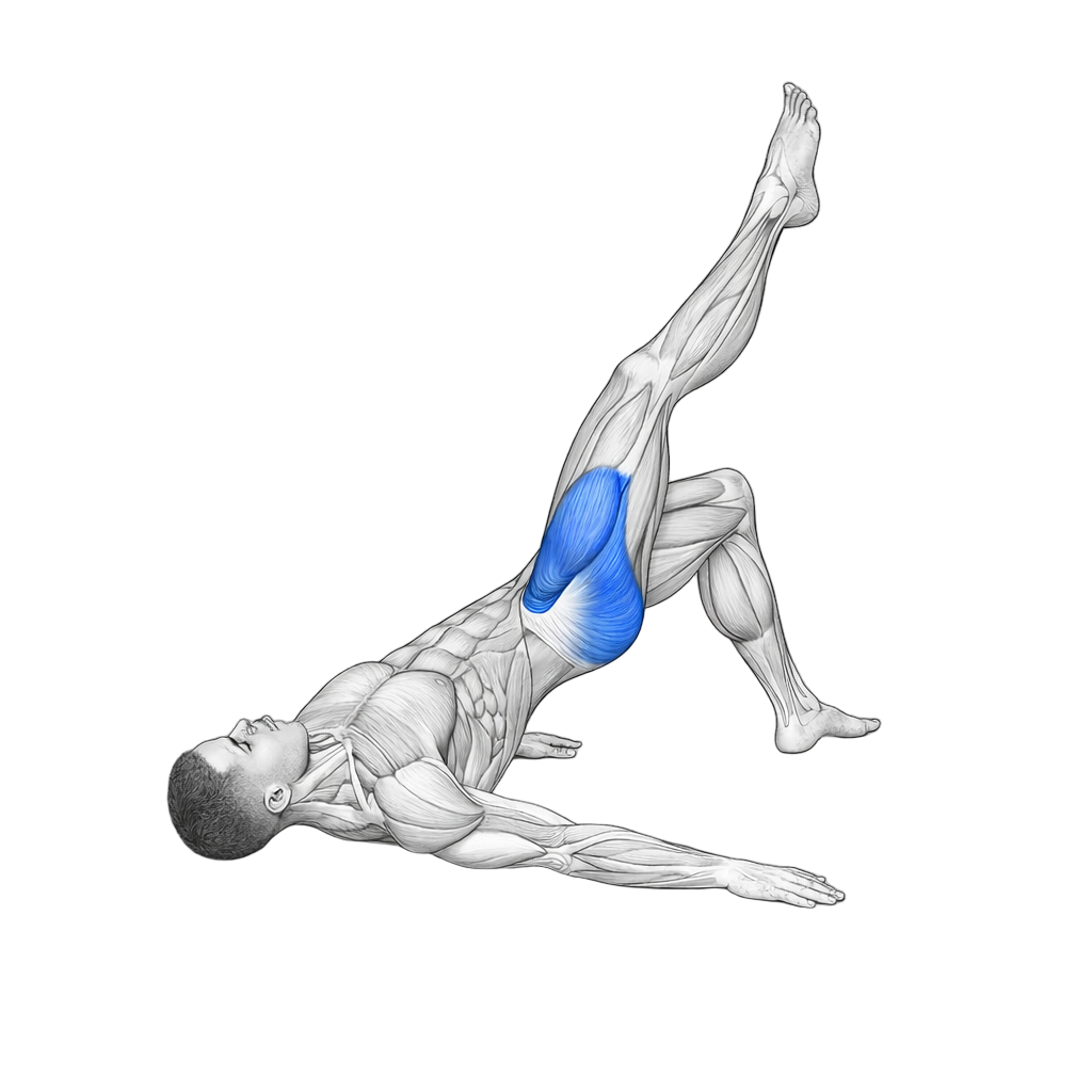 Single-Leg Glute Bridge with External Rotation