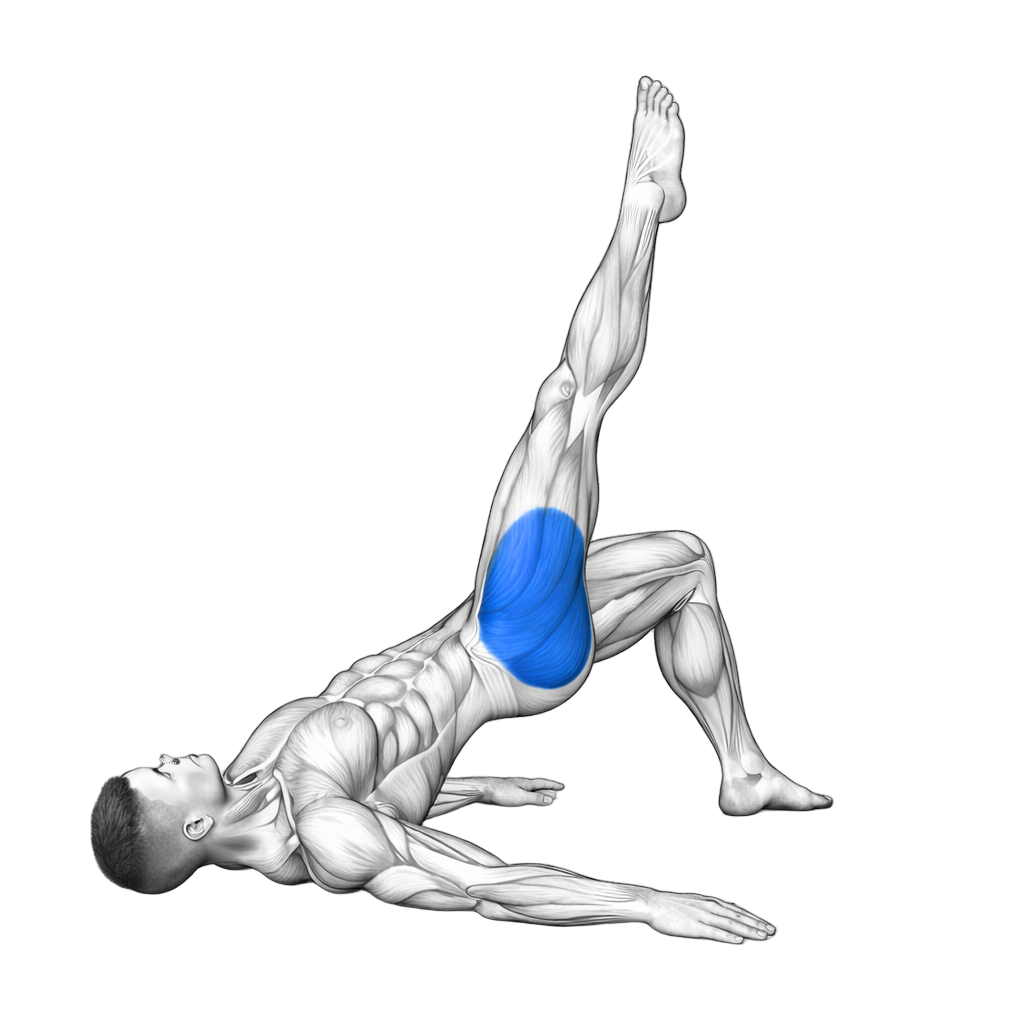 Single Leg Glute Bridge