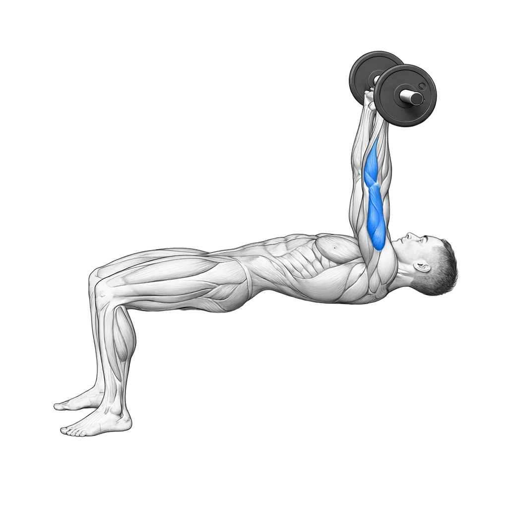 Skullcrusher exercise demonstration
