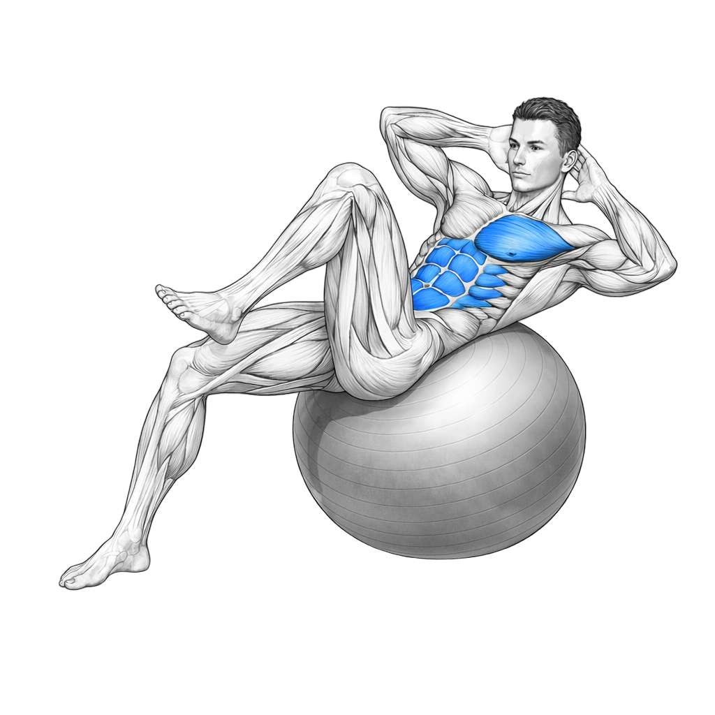 Stability Ball Bicycle Crunch