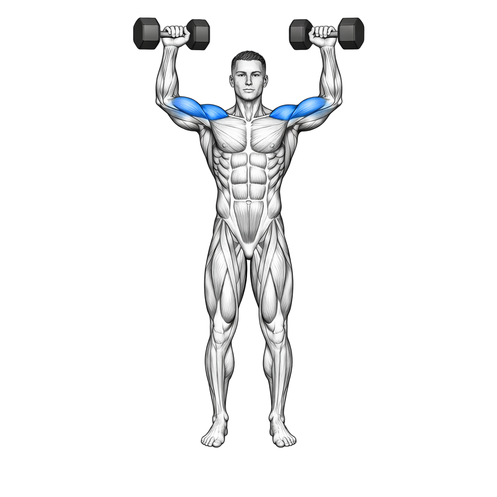 Standing Dumbbell Shoulder Press