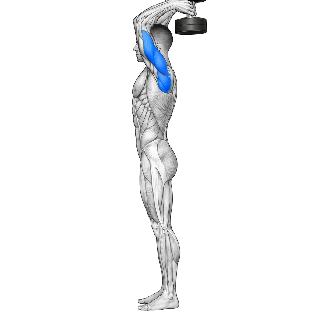 Standing Dumbbell Tricep Extension