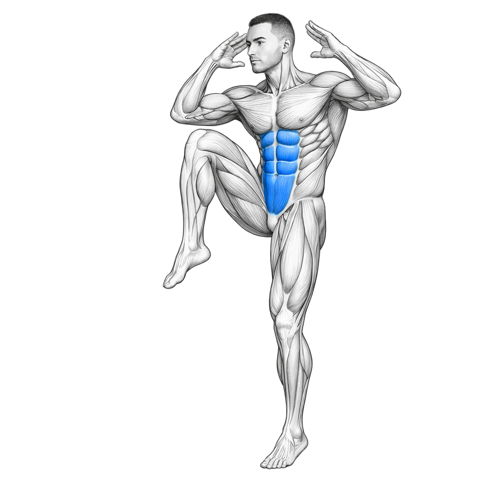 Standing Elbow to Knee Crunch