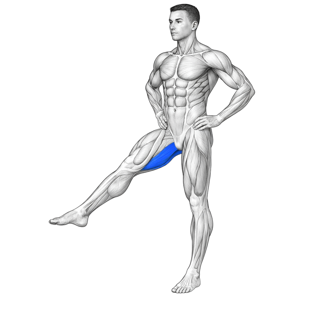 Standing Hip Adduction