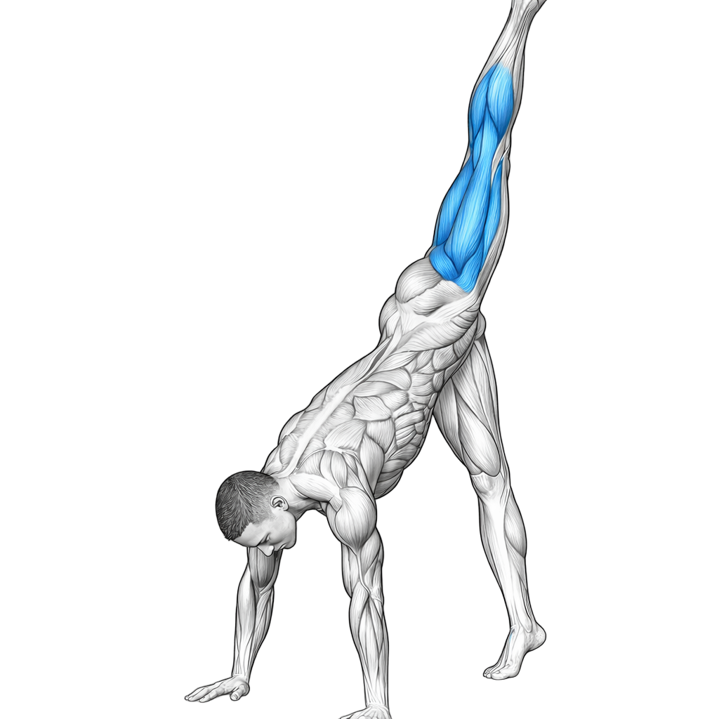 Standing Splits