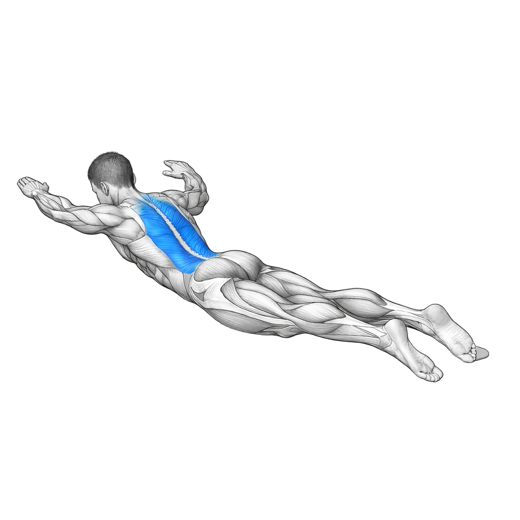 Superman Hold exercise demonstration