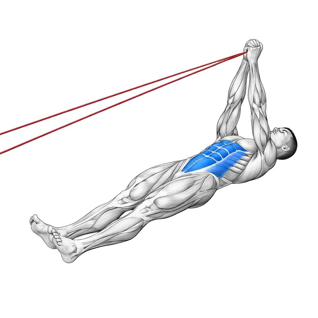 Supine Pallof Press