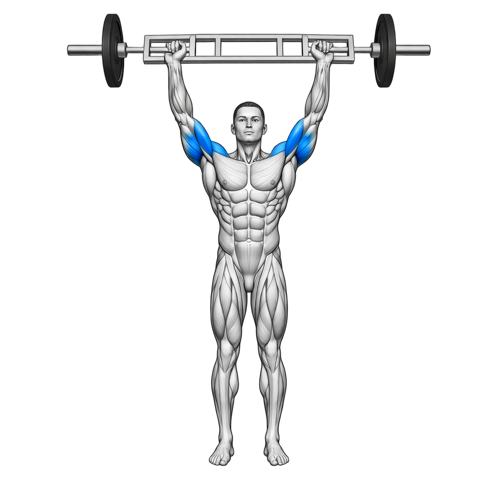 Swiss Bar Overhead Press