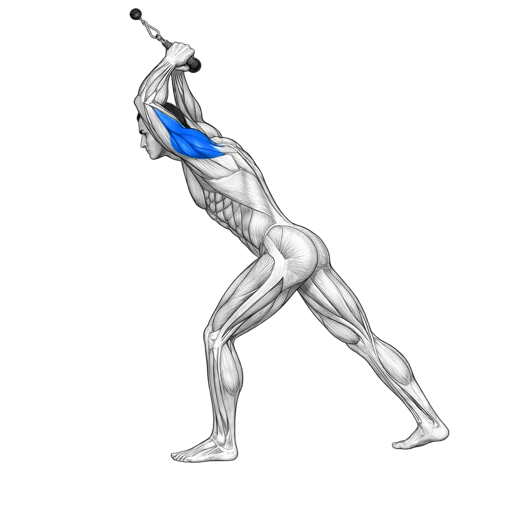 Tricep Overhead Extension with Rope