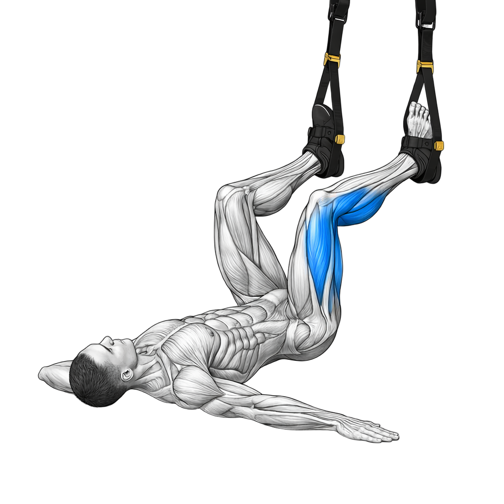 TRX Alternating Hamstring Pull-In