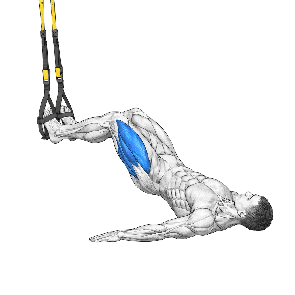 TRX Bridge exercise demonstration