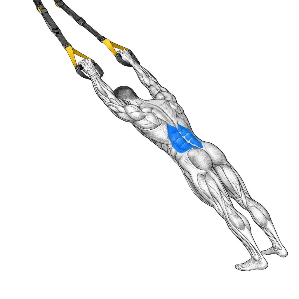 TRX Fallout exercise demonstration