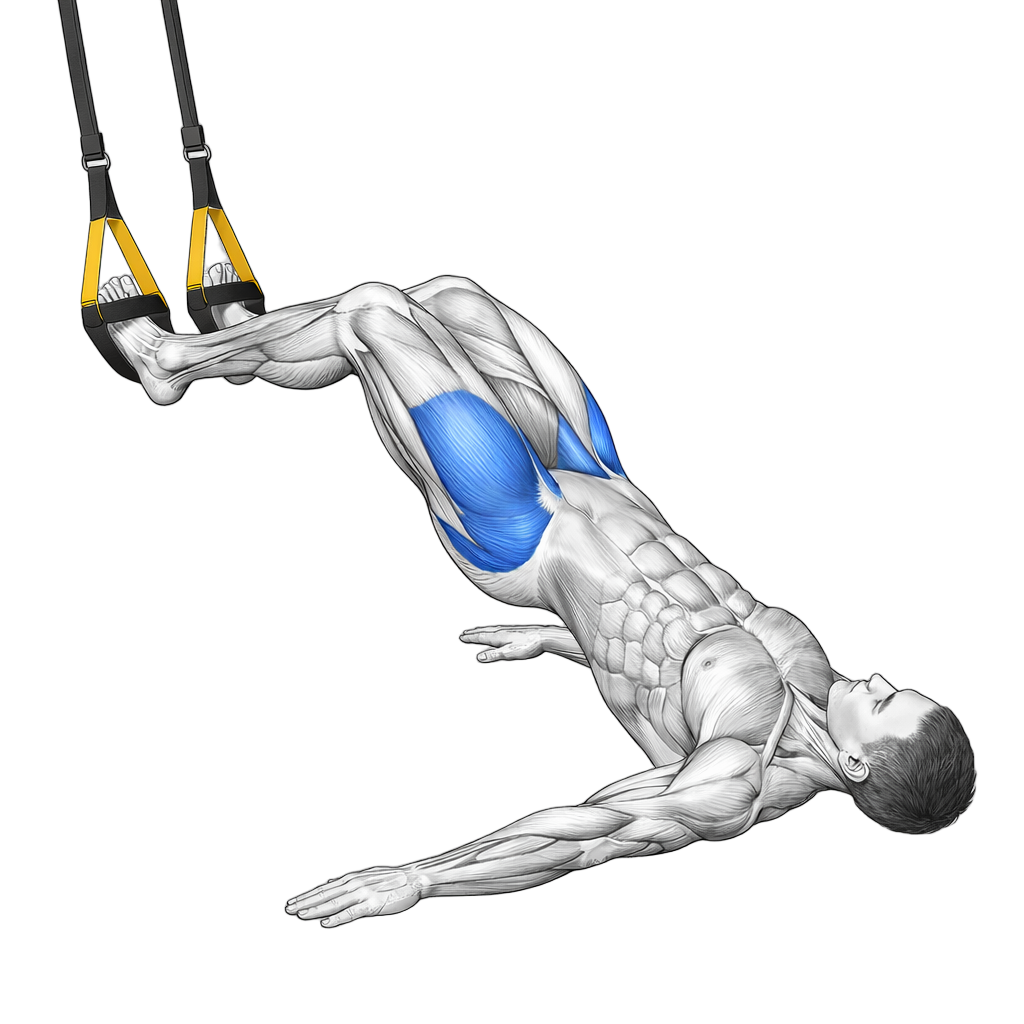 TRX Glute Bridge