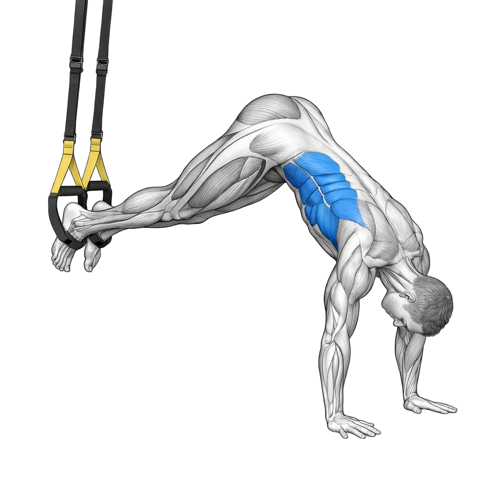 TRX Pike exercise demonstration