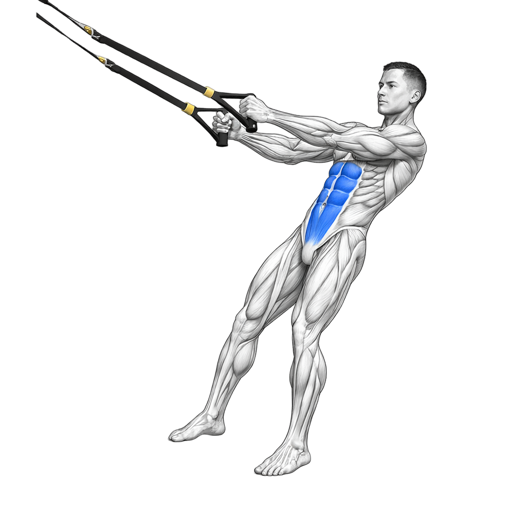 TRX Resisted Rotation