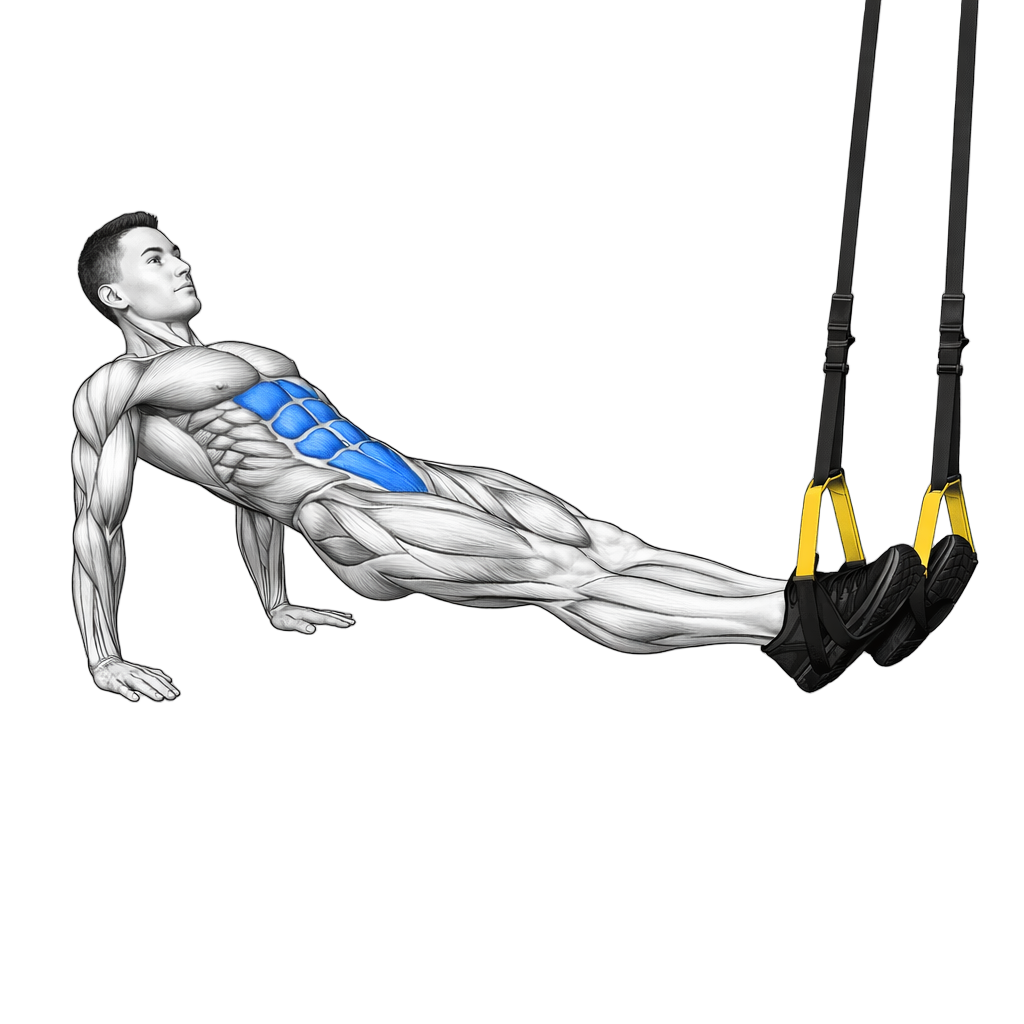 TRX Reverse Plank