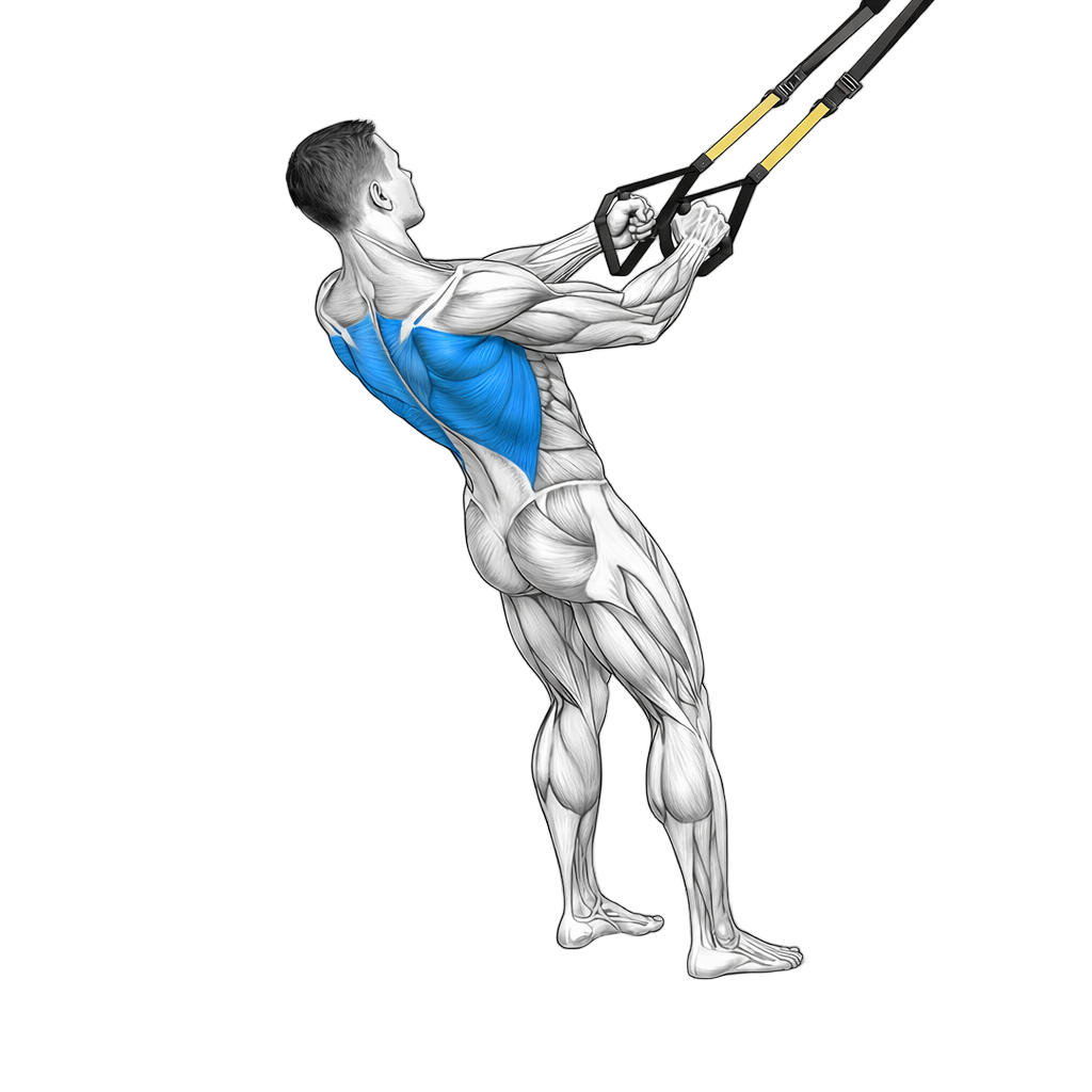 TRX Row