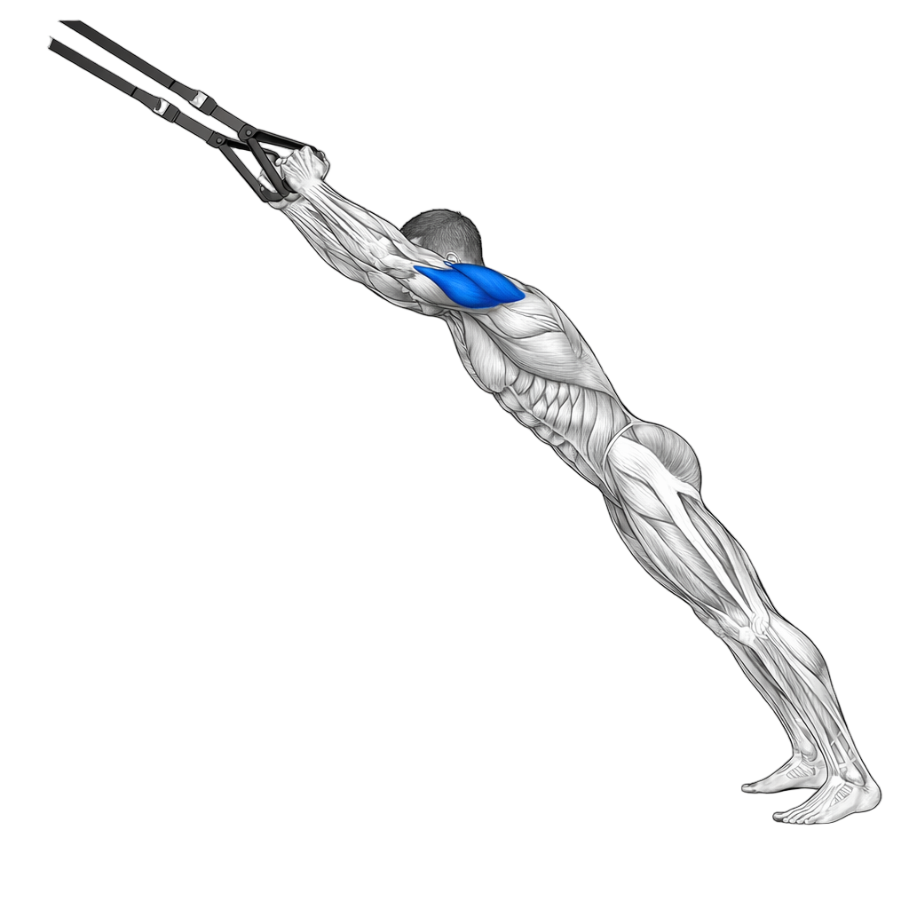 TRX Tricep Extension exercise demonstration
