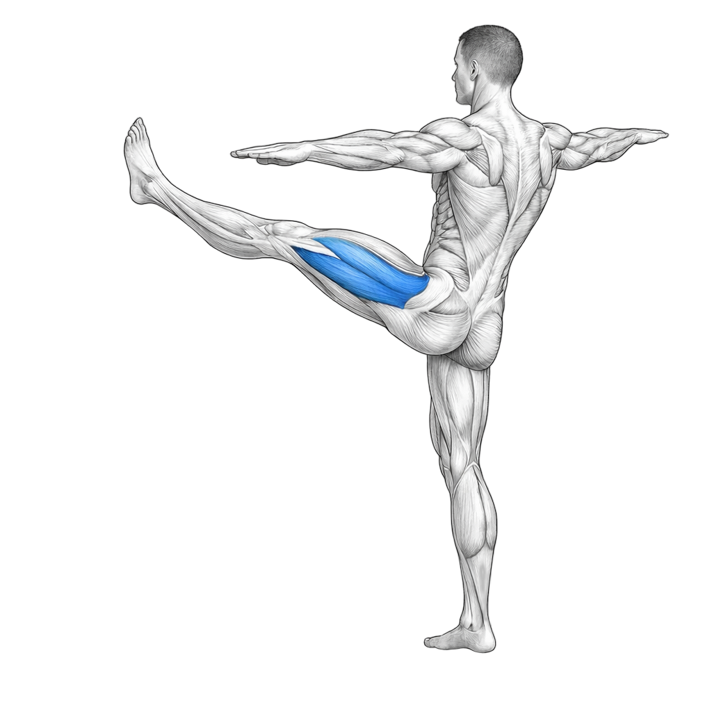 Walking Front Kicks
