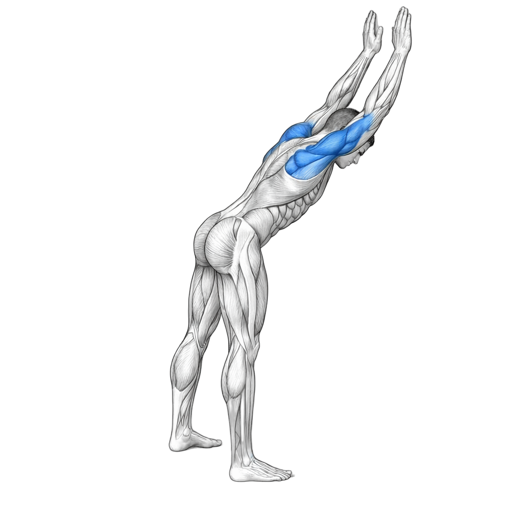Wall Shoulder Stretch