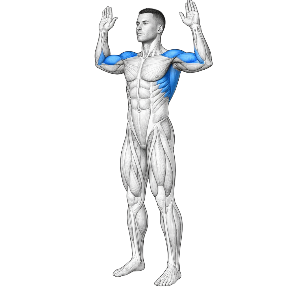 Wall Slide Stretch exercise demonstration