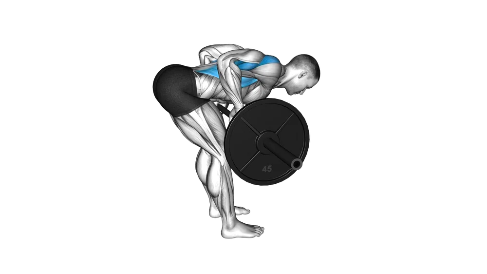 Barbell Row