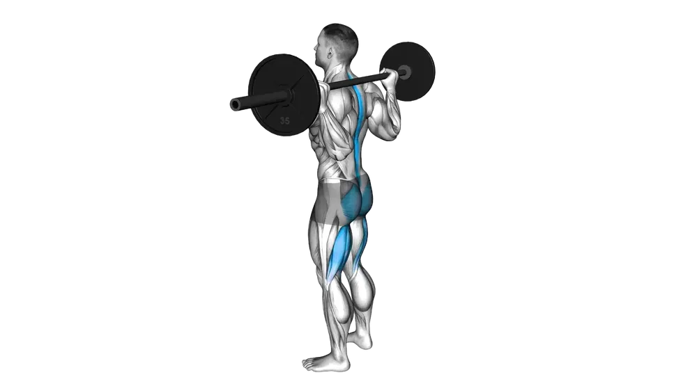 Barbell Good Morning