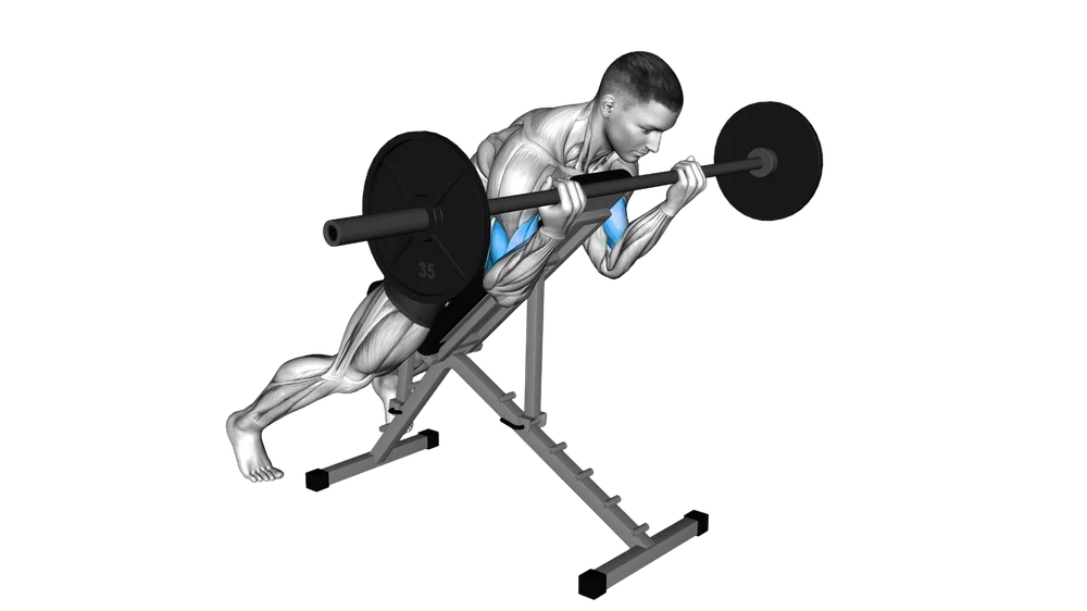 Spider Curl (Barbell)