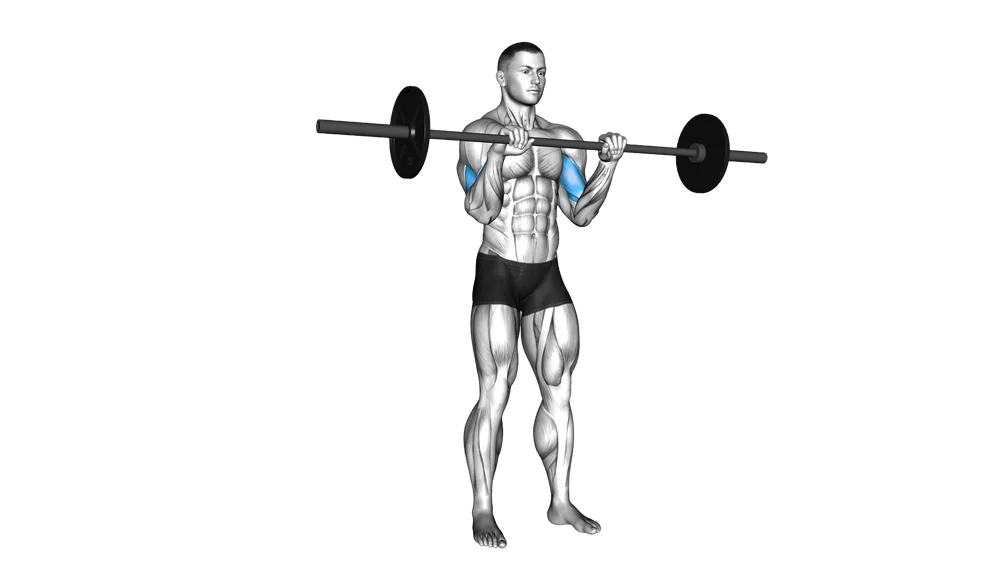 Reverse Curl (Barbell) exercise demonstration